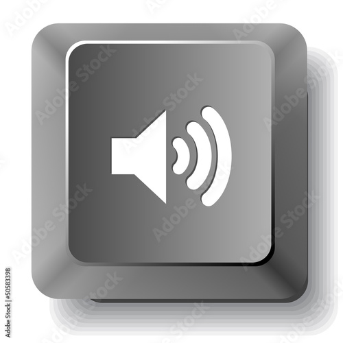 Speaker. Vector computer key.