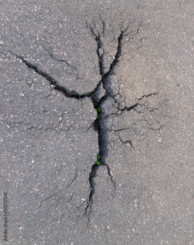 Green forces of nature