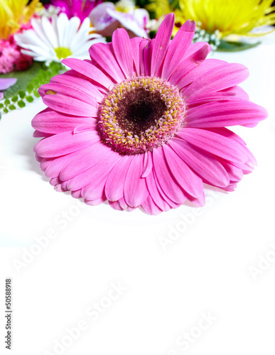 Floral greeting card with beautiful flowers.