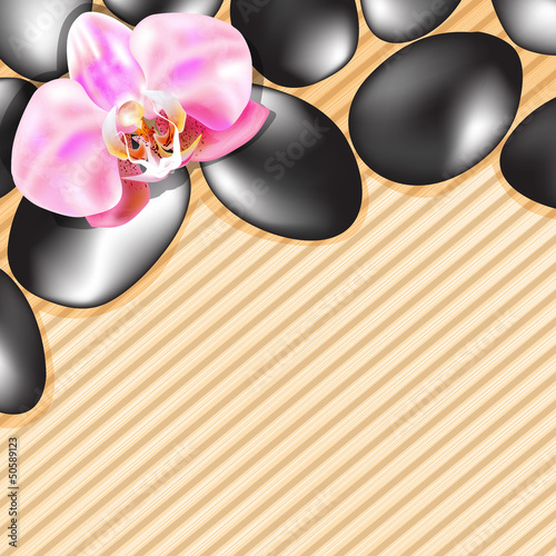 vector spa background with stones and orchid