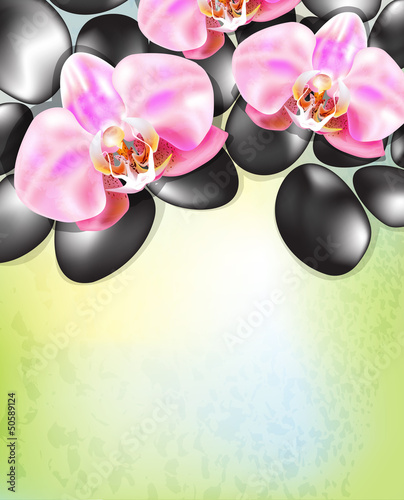 vector spa background with stones and orchids