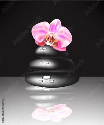 Vector spa stones and orchid