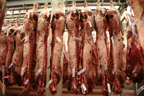 Tableau sur toile Several cattle carcass hung in a refrigerator