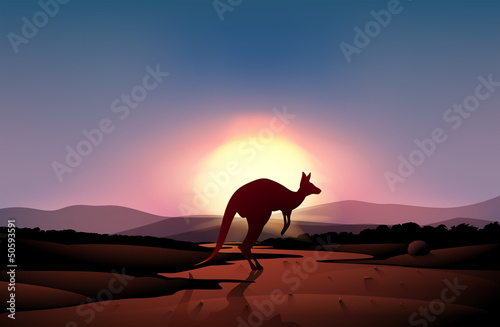 Fototapeta Naklejka Na Ścianę i Meble -  A sunset at the desert with a kangaroo
