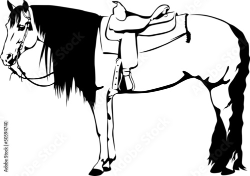 Quarter Horse - Western Horse