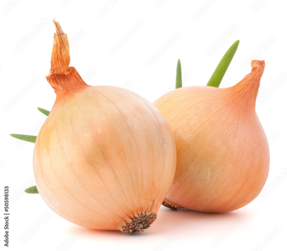 Fototapeta premium Onion vegetable