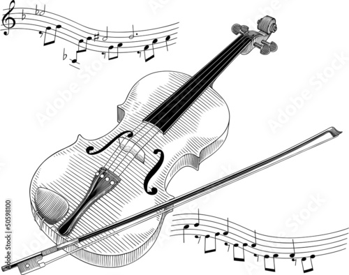 Violin