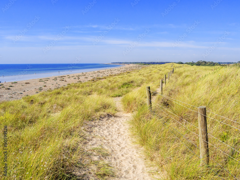 sand dunes