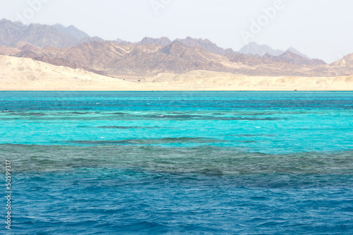 Ras Mohammed in the Red Sea, Egypt