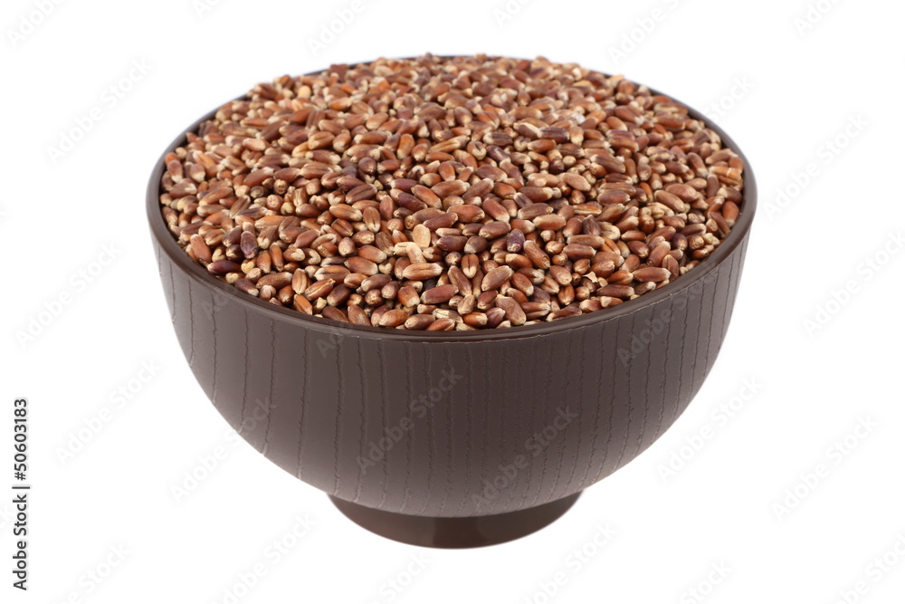 brown oat grain brown oat grain