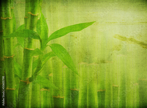 grunge bamboo background © oly5