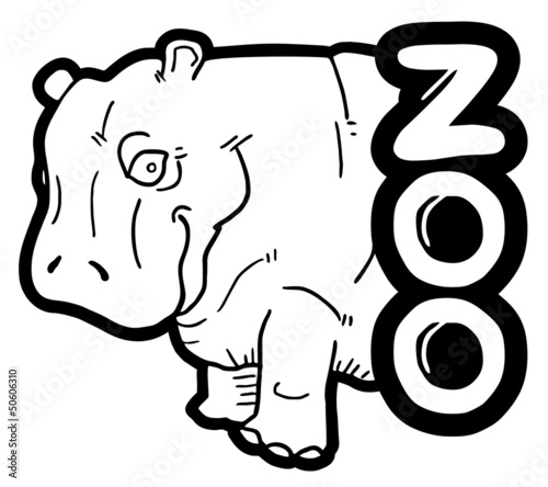 Zoo hippopotamus