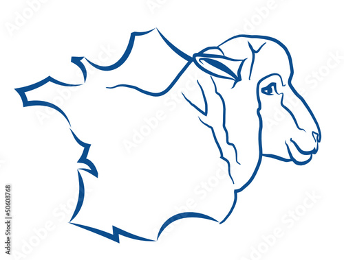 Viande de mouton française