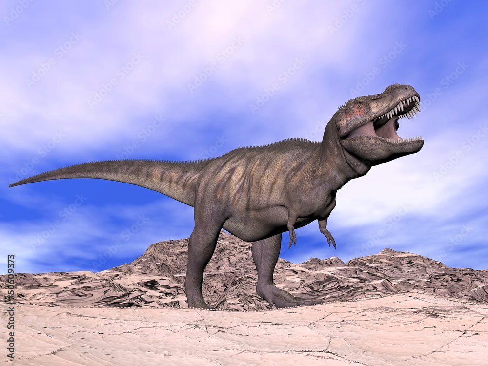 Fototapeta premium Tyrannosaurus shouting - 3D render