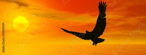 Eagle by sunset - 3D render © Elenarts