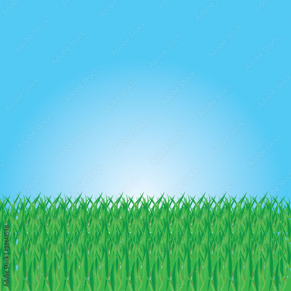 Fototapeta premium Illustration Of Summer Grass