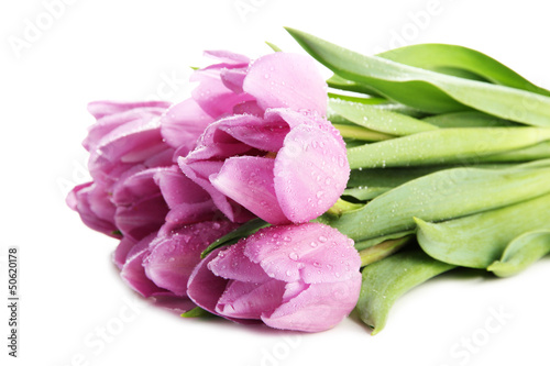 Beautiful bouquet of purple tulips  isolated on white