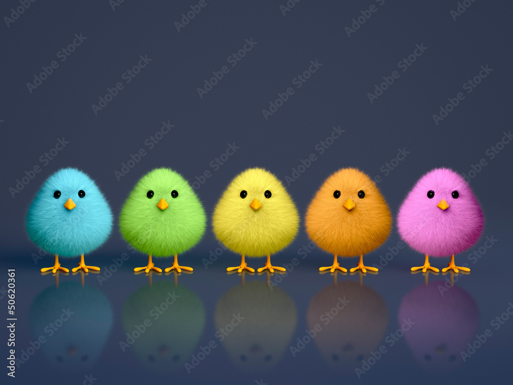 Fluffy Colorful Chicks