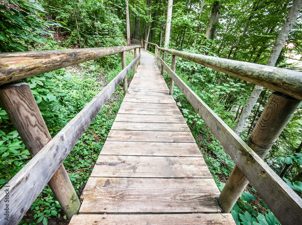 old wooden footbridge