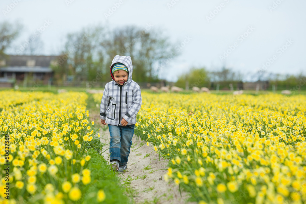 A little boy playing in daffodils