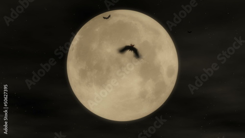 Bat Attack 1 - Halloween Party Video Background Loop