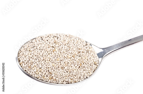 Spoonful of Chia Seeds