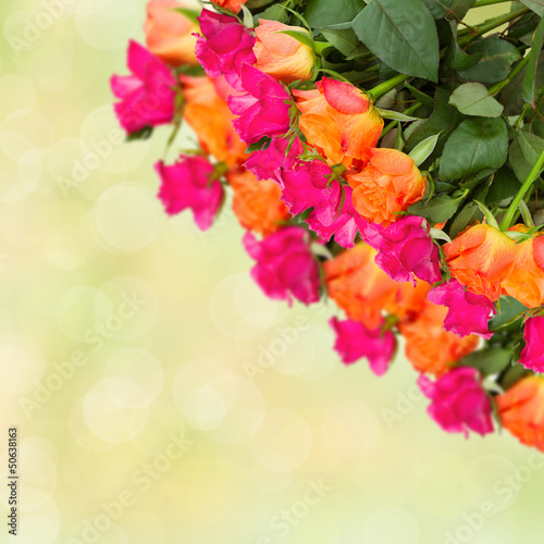 bouquet of multicolored roses on green