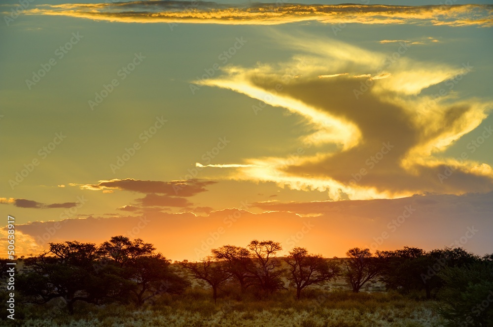 Fototapeta premium Kalahari desert Landsacape, dusk at Grootkolk