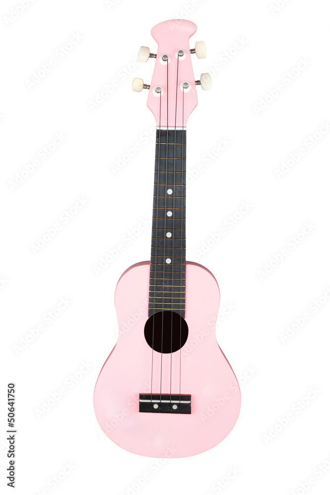 hawaiian guitar