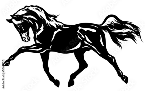 trotting horse black white