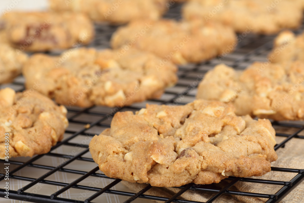 Peanut Butter Cookies Cooling Peanut Butter Cookies Cooling