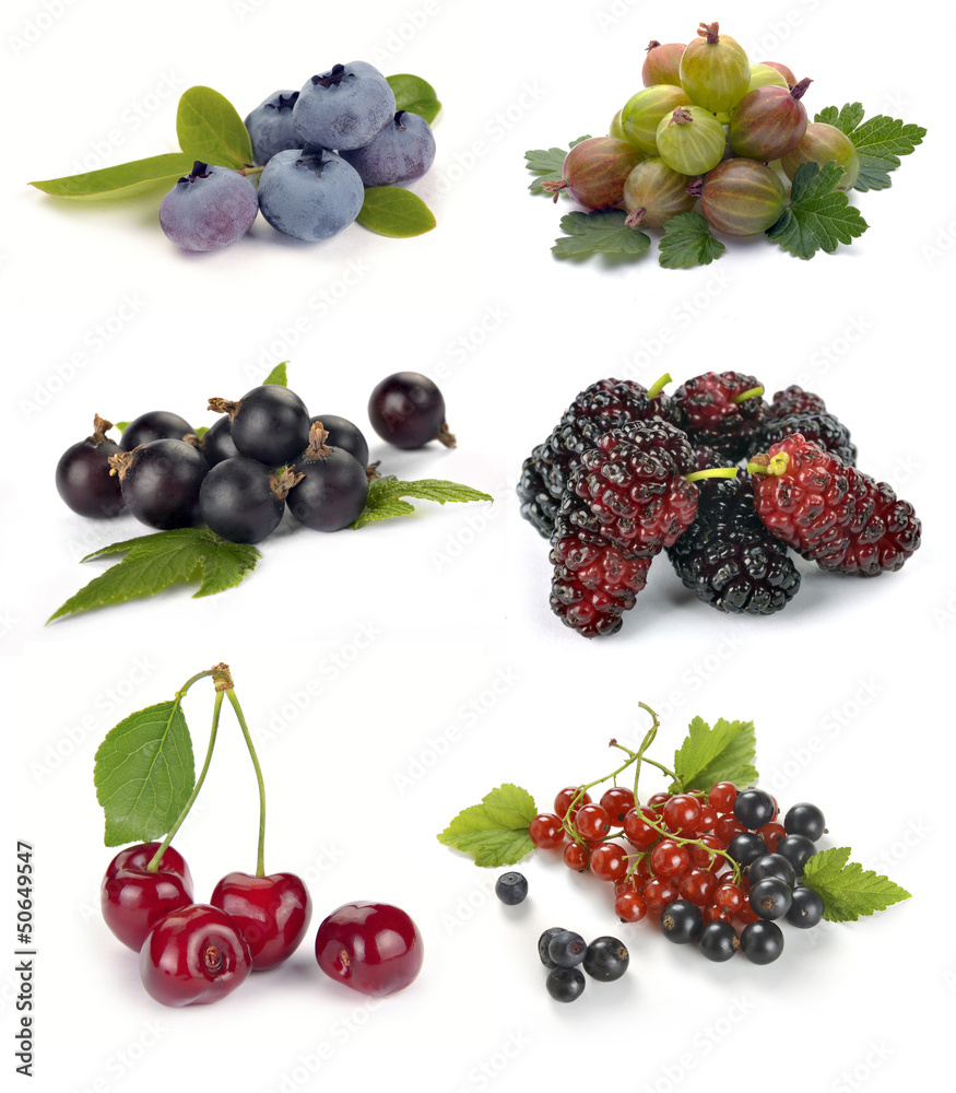 set of different berries set of different berries