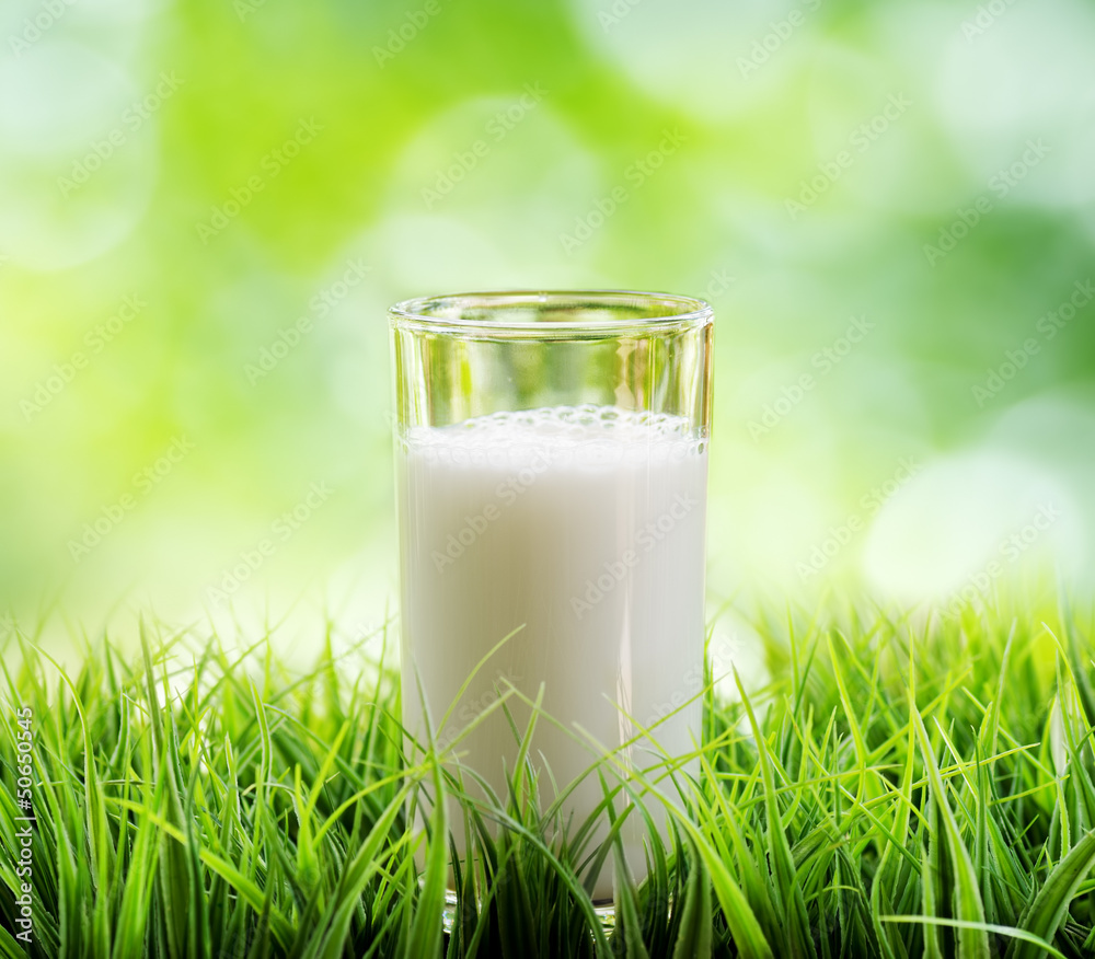 Glass of milk on nature background