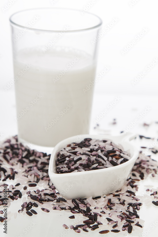 lait de riz lait de riz