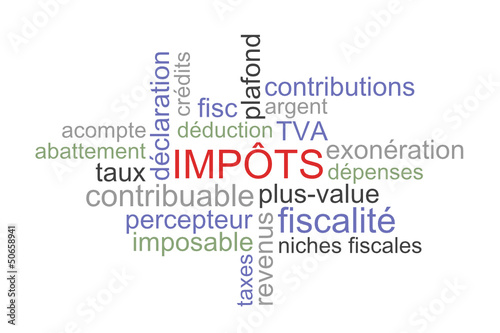 Nuage de mots impôts