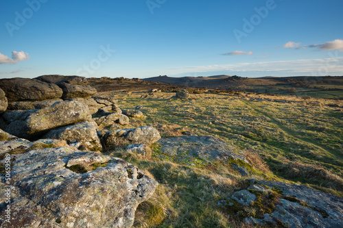 View to Hound Tor from Hayne Down Dartmoor. © annacurnow