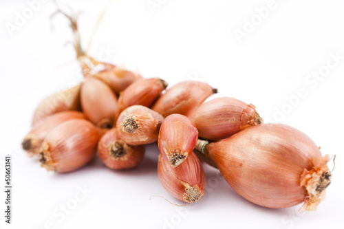 Bunch of Shallots