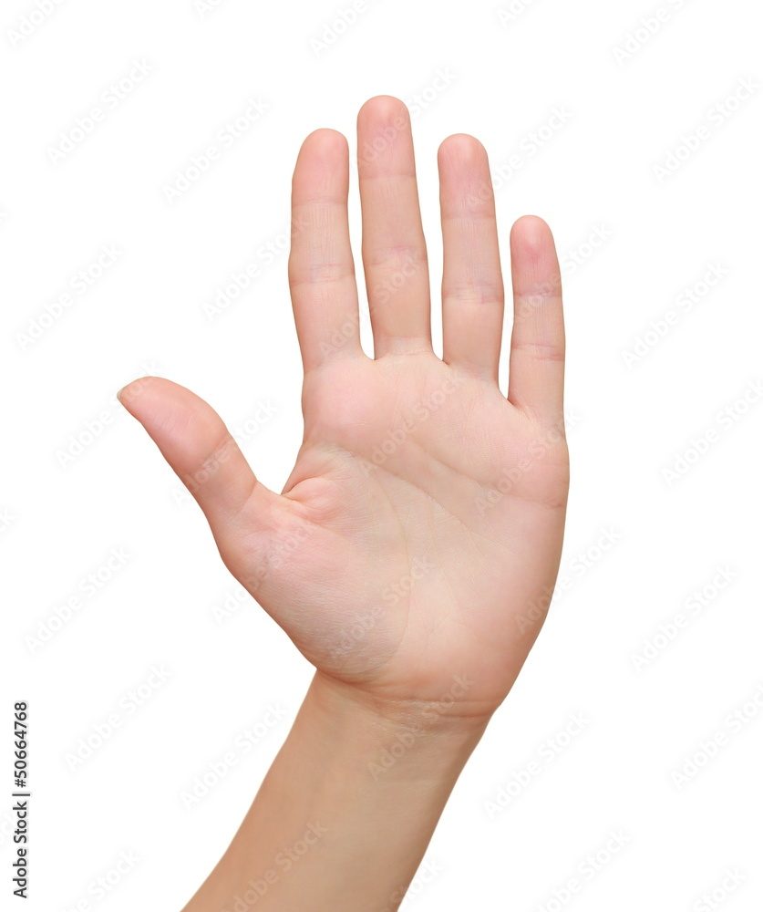 Woman hand palm gesture isolated on white background Woman hand palm gesture isolated on white background