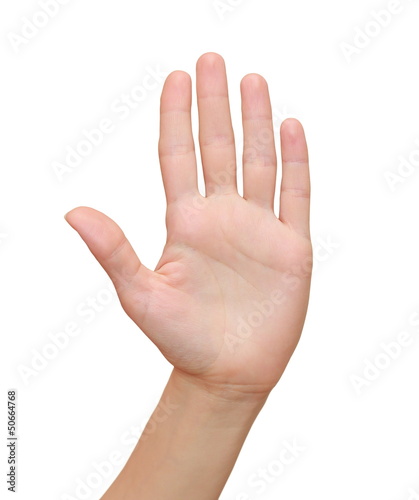 Woman hand palm gesture isolated on white background