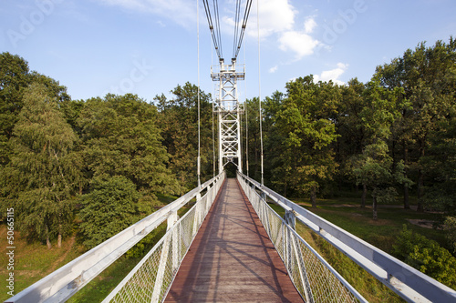 the foot bridge