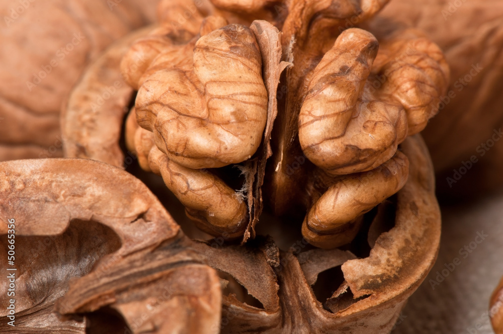 walnuts on a background of old fabric walnuts on a background of old fabric