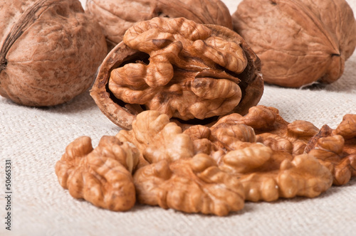 walnuts on a background of old fabric