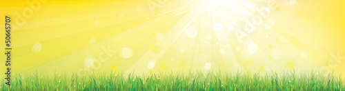 Vector of spring background with green grass.