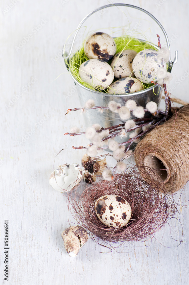 Nest and bucket with quail eggs