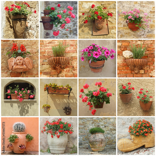 gardening collage, images of flowerpots with flowers