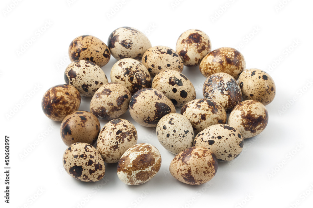 quail eggs