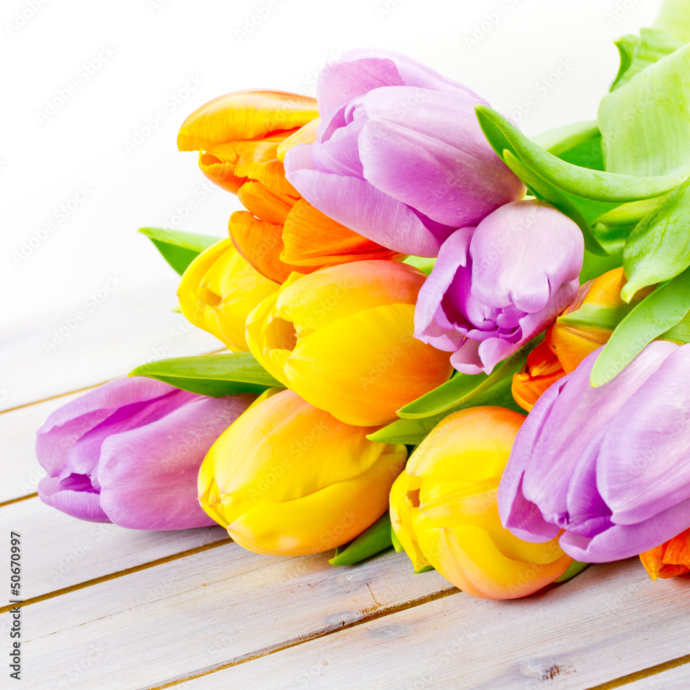 Obraz premium Tulpen