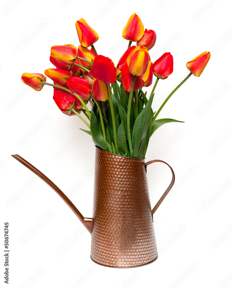 custom made wallpaper toronto digitaltulips in a watering can
