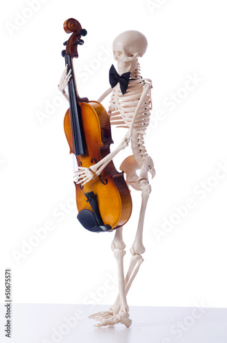 Skeleton playing violin isolated on the white © Elnur