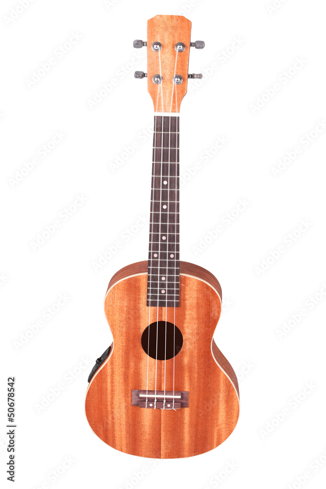 Fototapeta premium hawaiian guitar